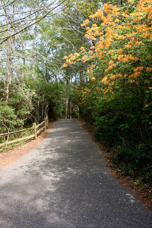 Brookgreen_3669.jpg :: Brookgreen Gardens, Myrtle Beach, SC