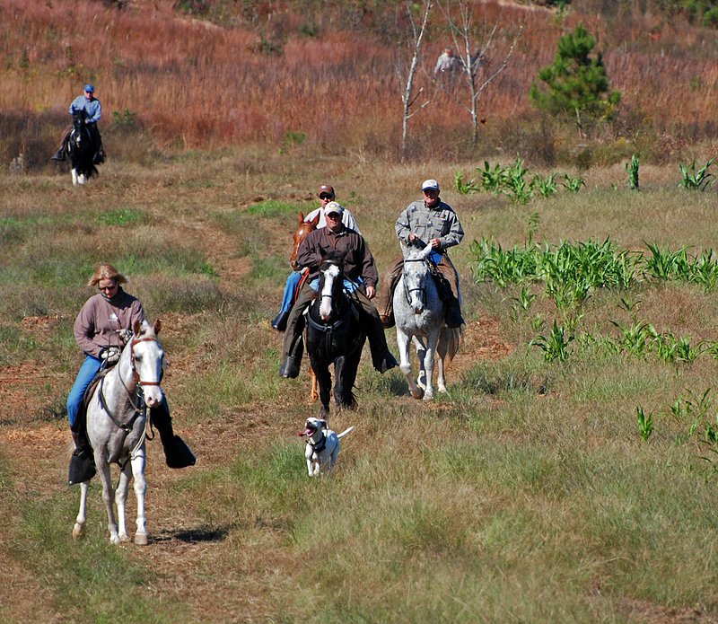 FT 012.jpg