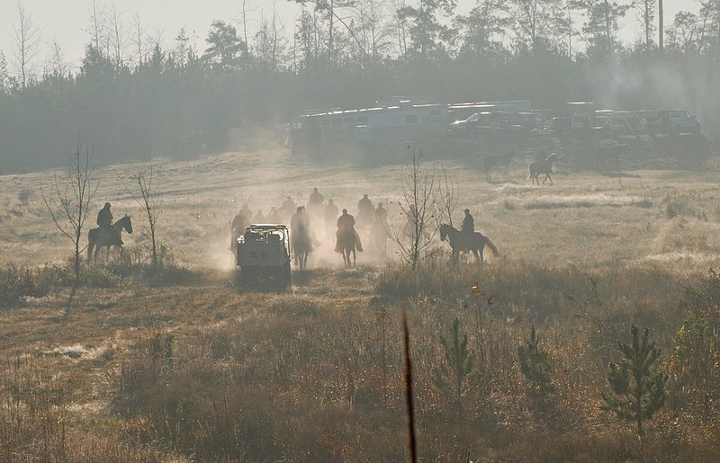 FT 017.jpg