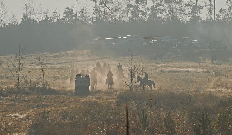 FT 018.jpg