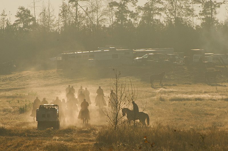 FT 019.jpg