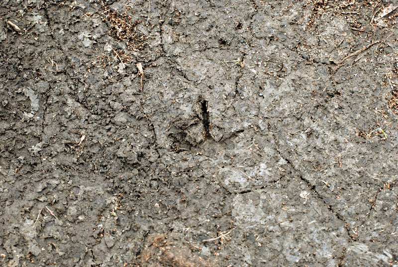 PH 002.jpg