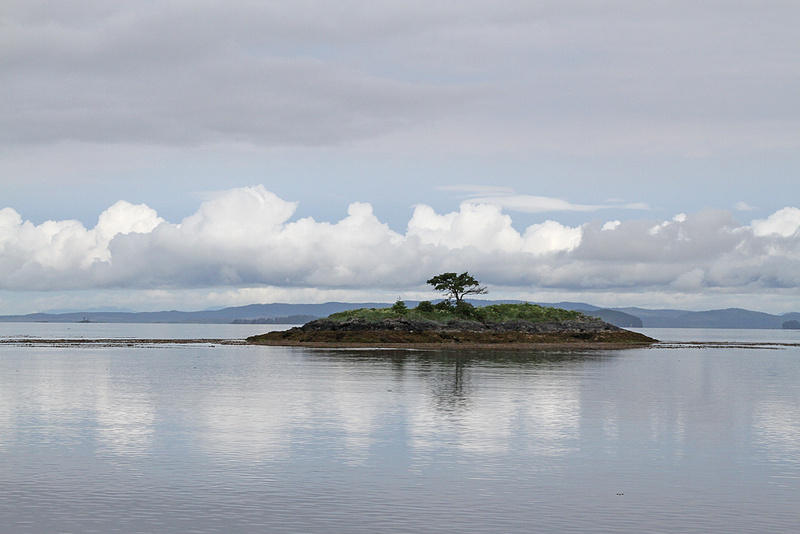 AK Island Sea Otter Sd1(1).jpg