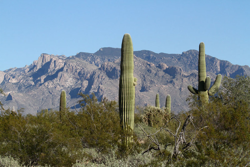 AZ Catalina Mts.jpg