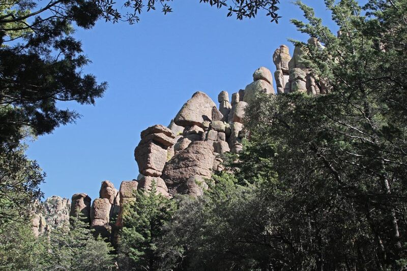 AZ Chiricahua NM1.jpg