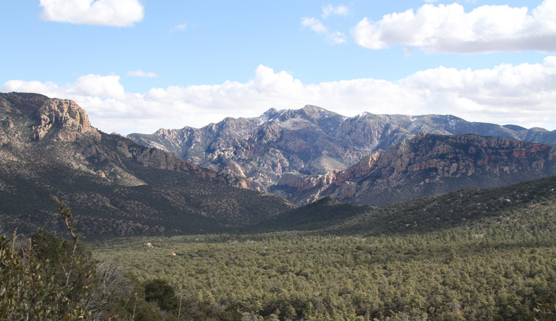 AZ Chiricahua NM3.jpg