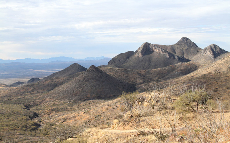 AZ FS 143 Mt Wrightson Wilderness.jpg