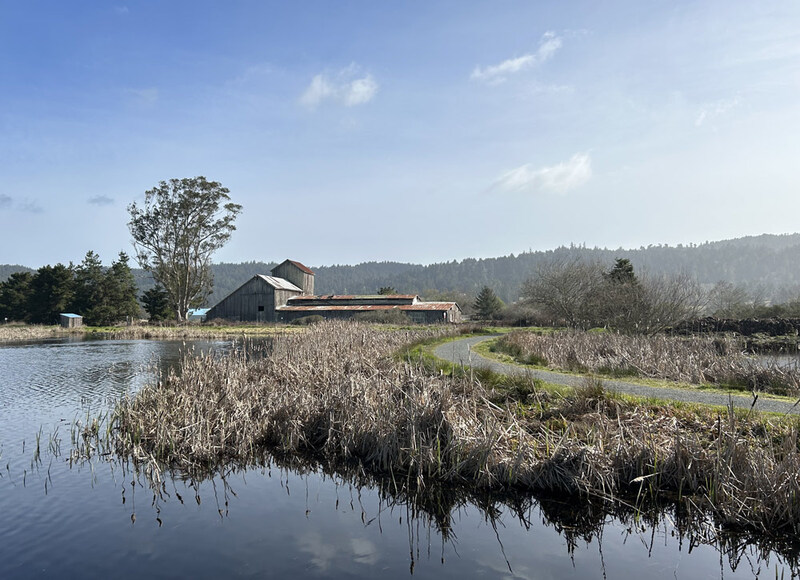 CA McBride Ranch Eureka.jpg :: Humboldt Bay NWR