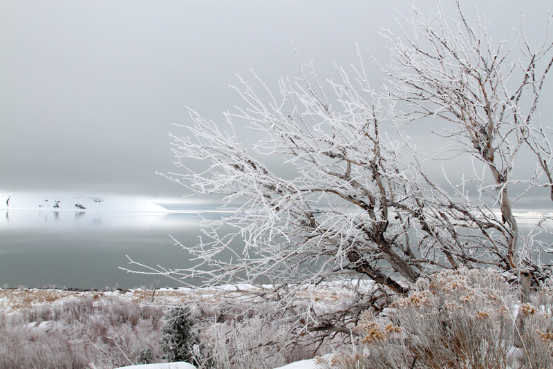 CA Mono Lake2.jpg