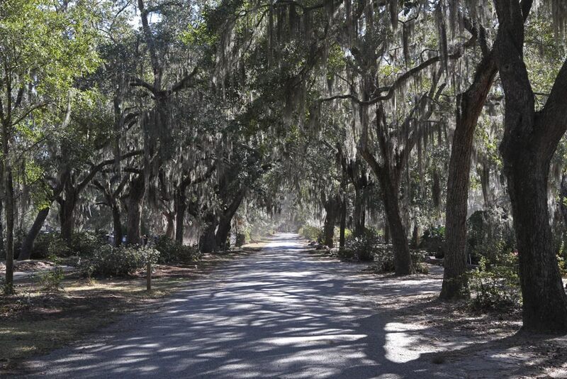 GA Bonaventure lane.jpg