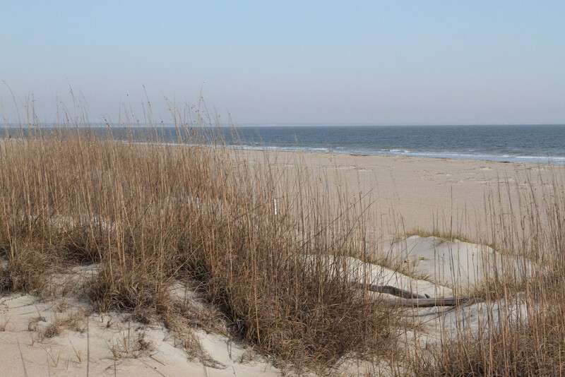 GA Tybee beach.jpg