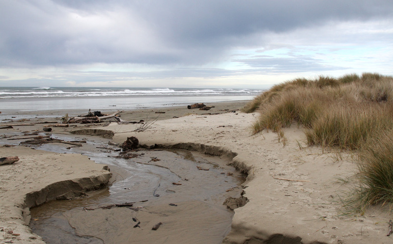 OR Heceta Beach2.jpg