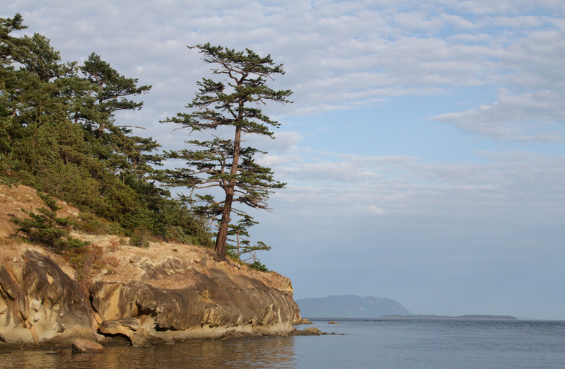 WA Sucia Island7.jpg