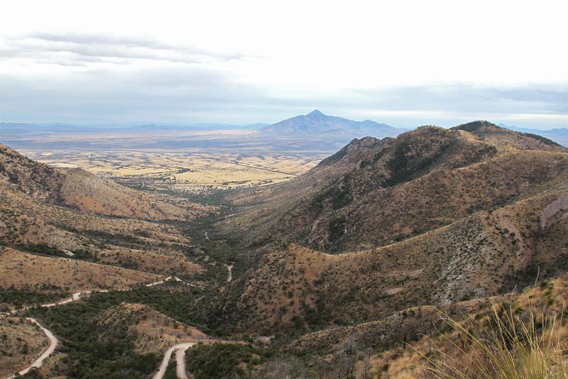 AZ Coronado NM.jpg :: View from the top, Coronado National Monument.  US/Mexico border wall is the diagonal line in upper center. 