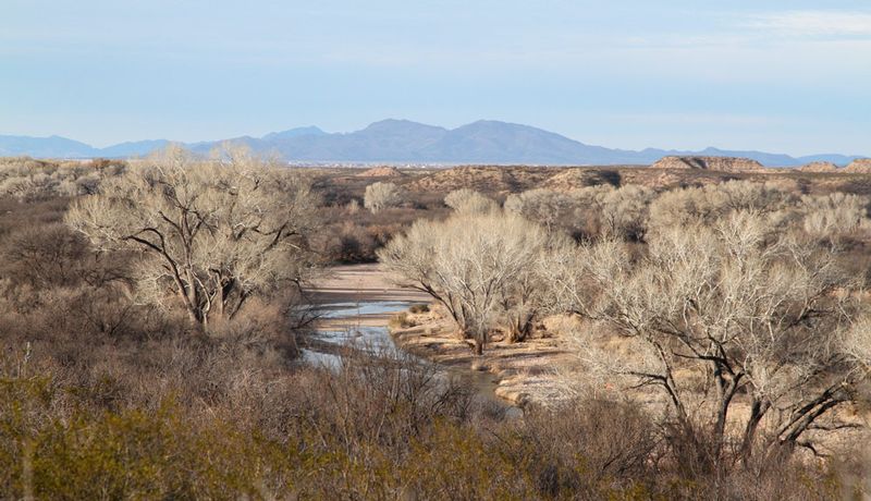 AZ San Pedro River2.jpg :: San Pedro River Valley near Sierra Vista, Arizona 