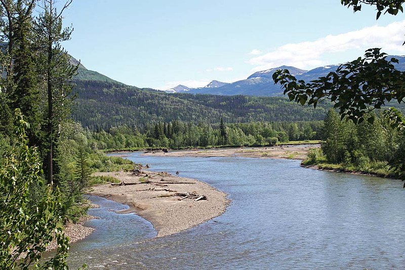 BC Pine River.jpg