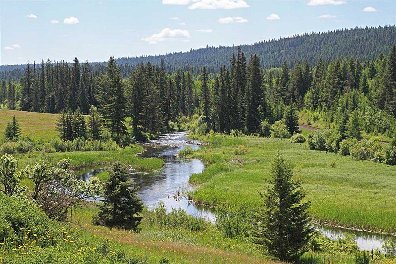 BC San Jose River.jpg