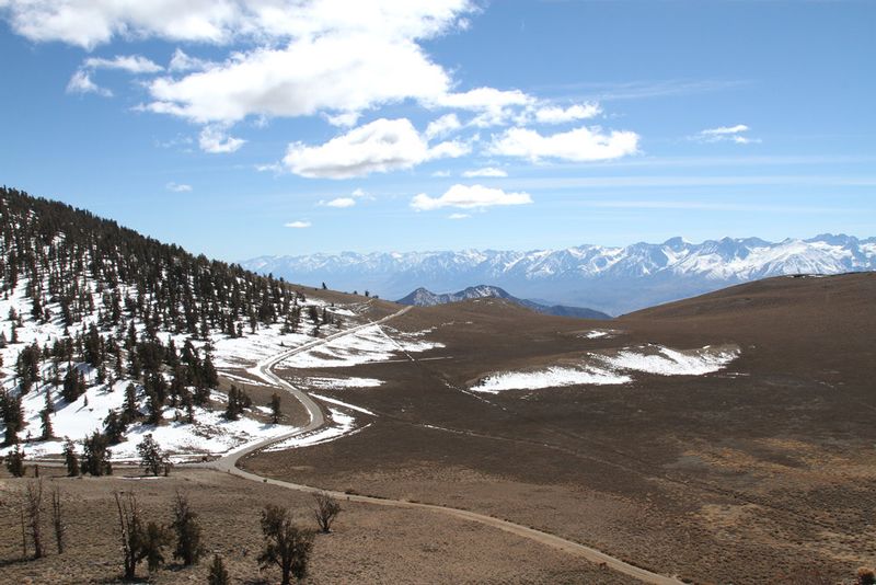 CA White Mtns.jpg :: View from Bristlecone Pine Forest in White Mtns toward the east slope of the Sierra Nevada