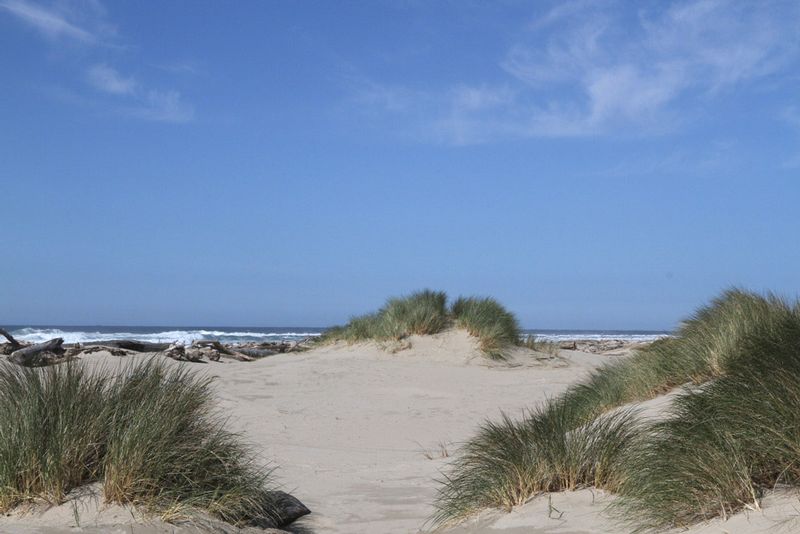 OR Florence Dunes1.jpg