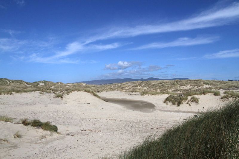 OR Florence Dunes2.jpg