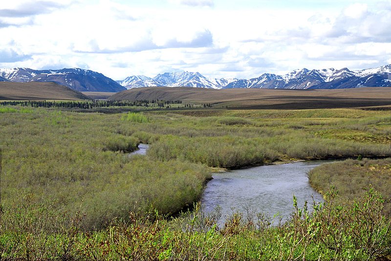 YUK Dempster Hwy 3.jpg :: The Dempster Highway runs north from Dawson, Yukon Territory across the Arctic Circle to Inuvik in Northwest Territories.
