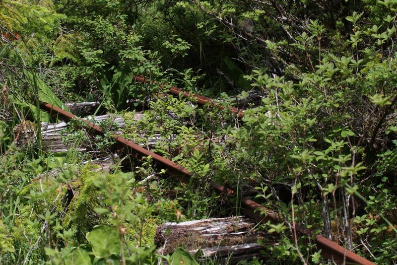 AK Goulding Mine Tram.jpg :: Nature reclaims the Big Chief Mine, Chichagof Island