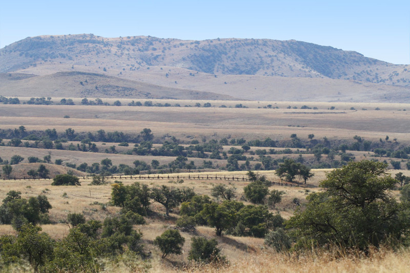 AZ Border San Raphael Valley.jpg