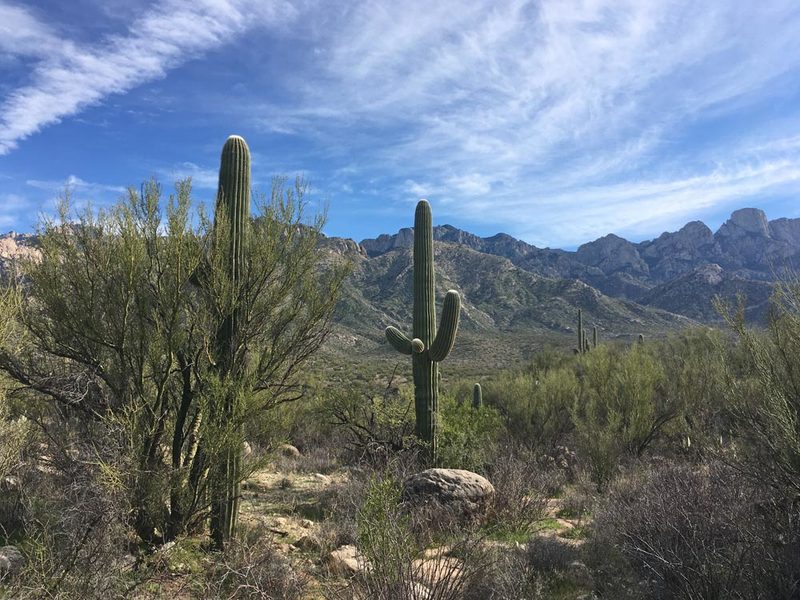 AZ Catalina Mtns 2.jpg