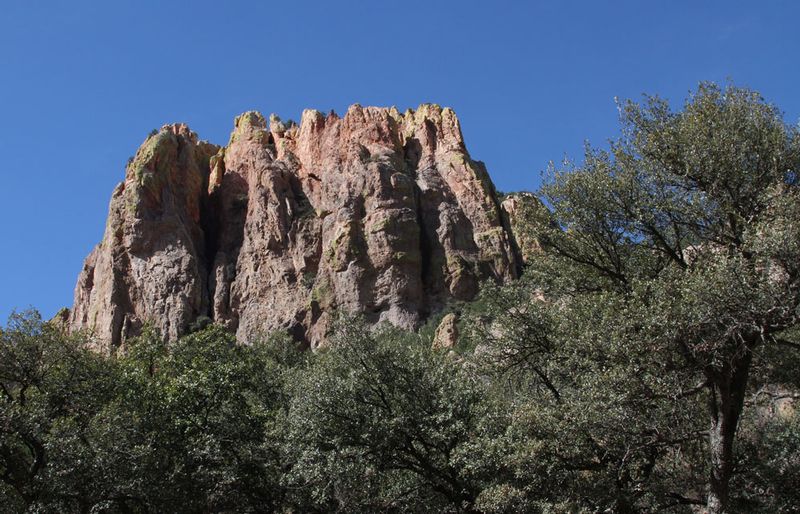 AZ Chiricahua South Fork.jpg :: Chiricahua National Monument