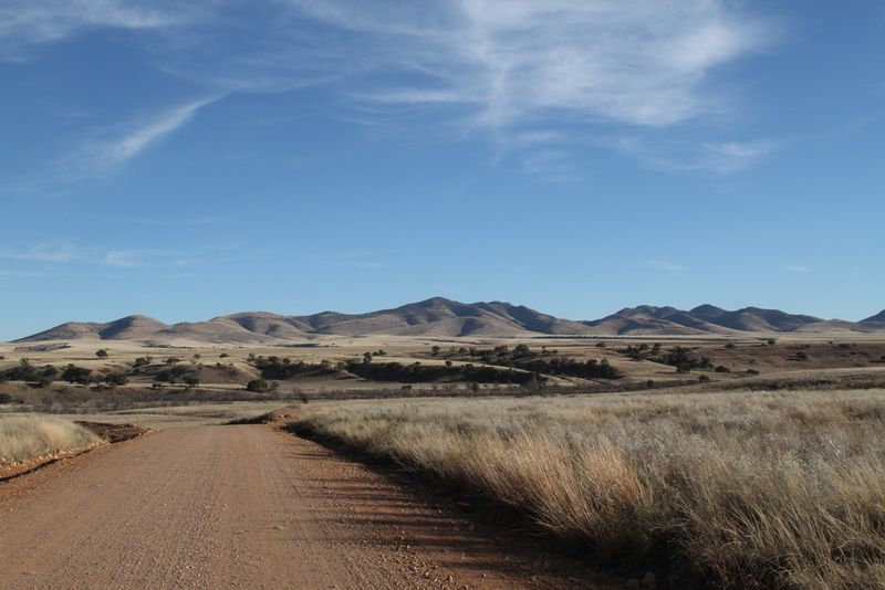 AZ Huachuca Mts 3.jpg :: Looking east on FR61