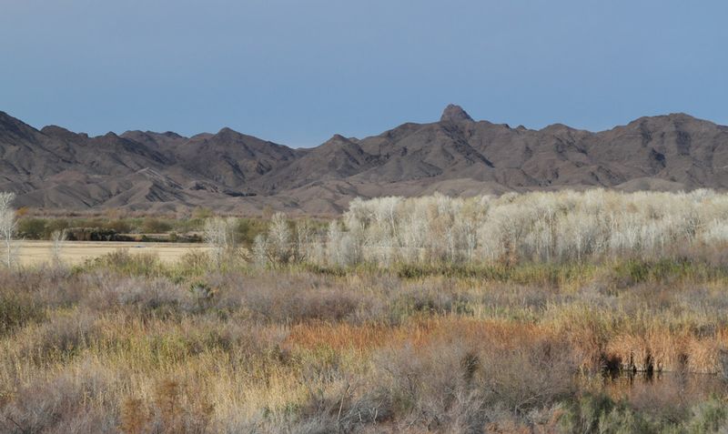 AZ Imperial NWR.jpg