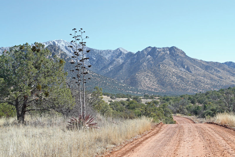 AZ Montezuma Cyn Road 1.jpg