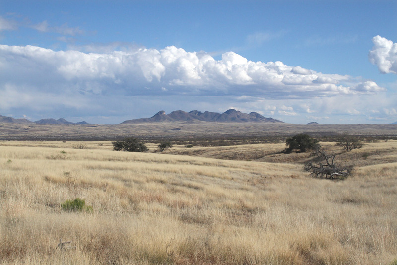 AZ Mustang Mtns6.jpg