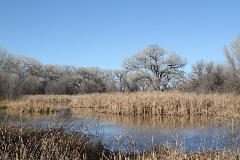 AZ San Pedro RCA2.jpg