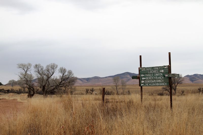 AZ San Raphael Valley4.jpg :: Crossroads in the San Raphael River Valley, cattle country near the border.