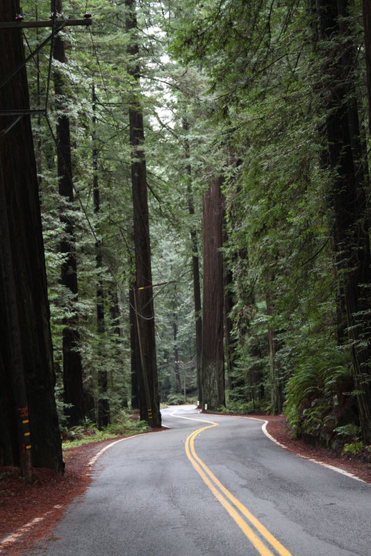 CA Drury Parkway.jpg