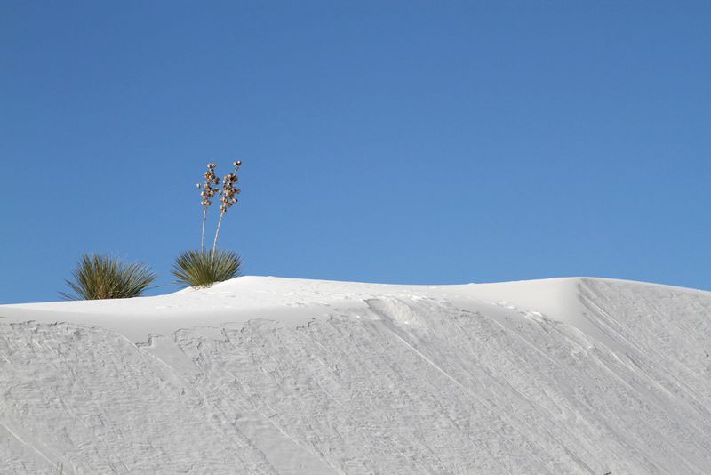NM White Sands 1.jpg :: White Sands National Monument, New Mexico