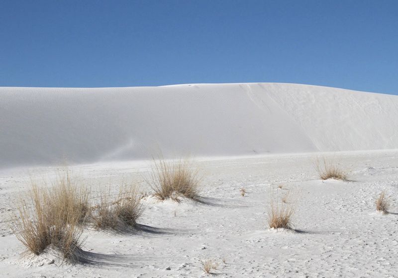 NM White Sands 2.jpg :: White Sands National Monument, New Mexico