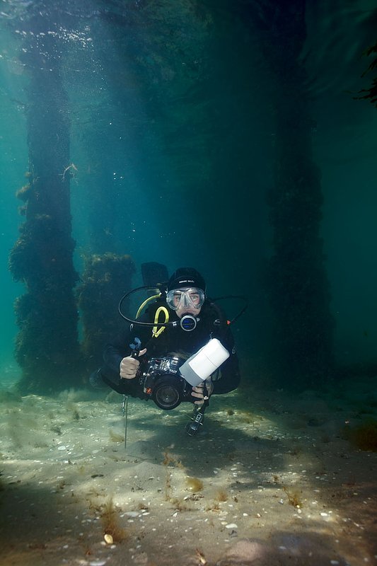 IMG_0570 237.jpg :: A diver under Portsea Pier, Victoria, Australia.