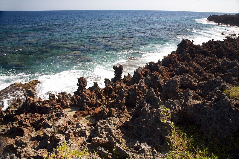 IMG_0843.jpg :: The iron shore on Roatan, Honduras.