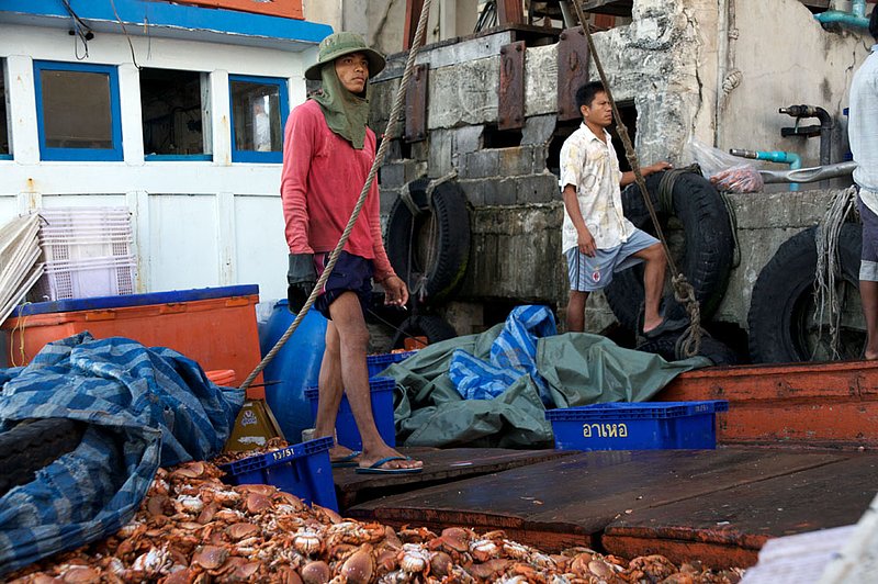 IMG_1770.jpg :: Thai fisherman taking a break from sorting the morning's crab catch, Khao Lak, Thailand.