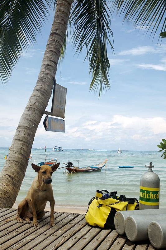 IMG_2499.jpg :: Sairee Beach, Koh Tao, Thailand