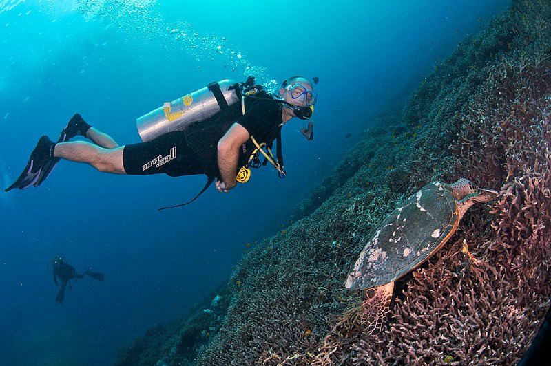 IMG_2970.jpg :: A diver and a hawksbill sea turtle  (Eretmochelys imbricata) in the Similan Islands, Andaman Sea, Thailand.