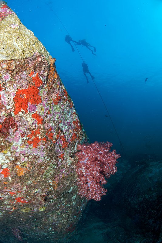 IMG_6324.jpg :: Divers hold on to a buoy line in current at Koh Tachai Plateau, Andaman Sea, Thailand.