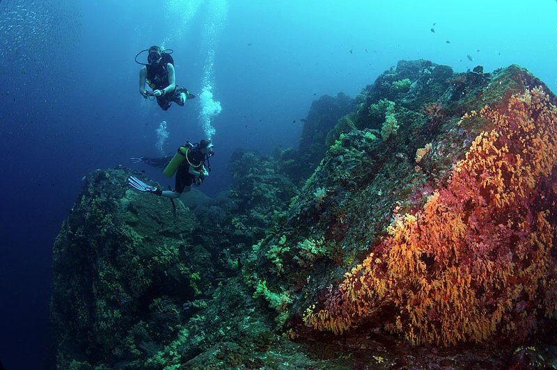IMG_6391.jpg :: Divers explore the deep peaks of Koh Bon's secret pinnacle in the Similan Islands, Andaman Sea, Thailand.