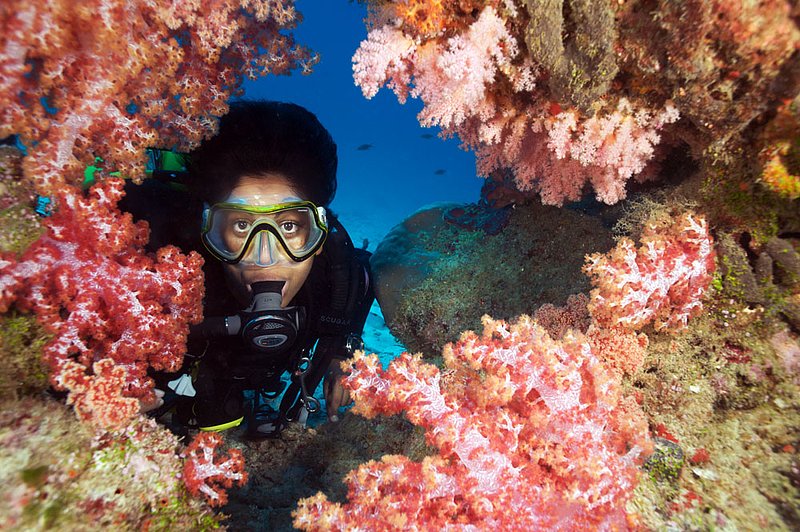 IMG_7735.jpg :: Finding a hole in soft coral (Dendronephthya sp.), a diver poses for a photo opportunity in the Similan Islands, Andaman Sea, Thailand.