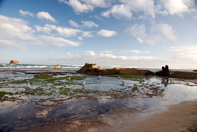 IMG_8686.jpg :: A seascape view of Sorento back beach off of Mornington Peninsula, Victoria, Australia.