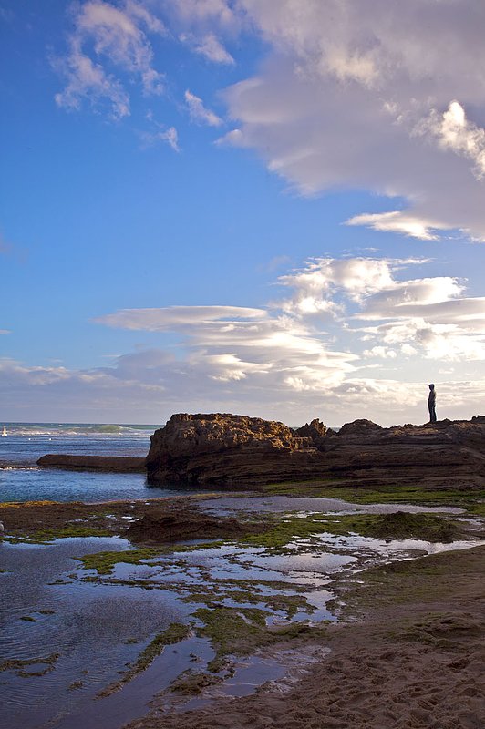 IMG_8692.jpg :: Sorrento back beach off of Mornington Peninsula and Bass Strait, Victoria, Australia