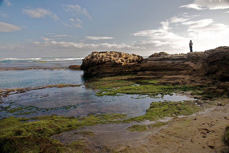 IMG_8696.jpg :: Sorrento back beach off of Mornington Peninsula and Bass Strait, Victoria, Australia