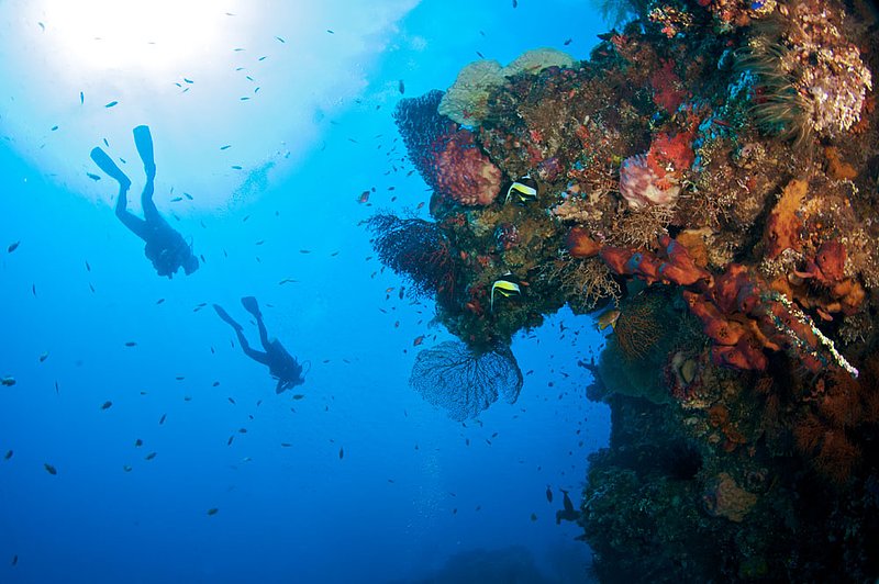IMG_8919 77.jpg :: Divers explore the Liberty Wreck off of Tulamben, Bali, Indonesia, Indian Ocean.